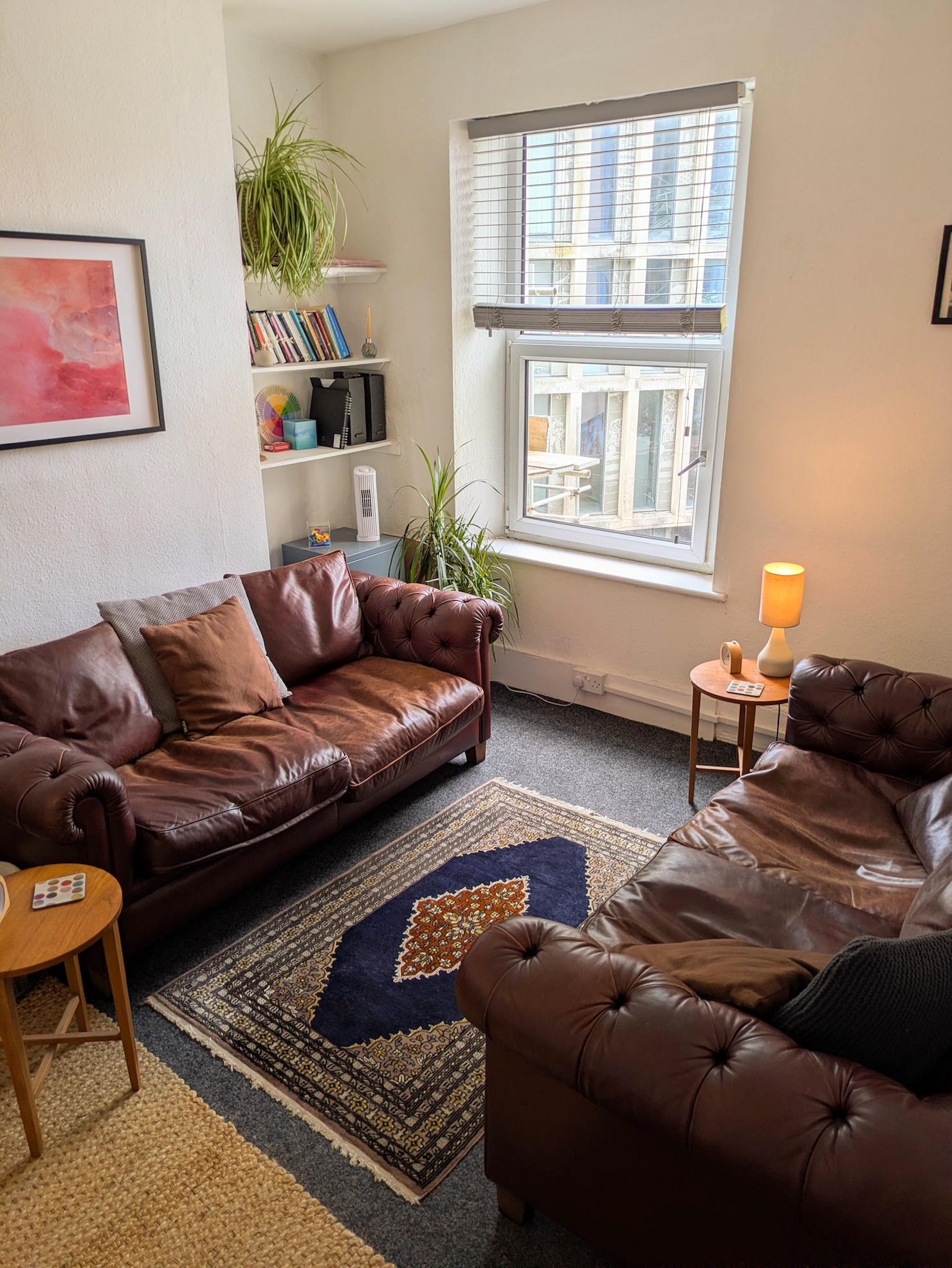 Therapy room with two sofas, a rug, and a window
